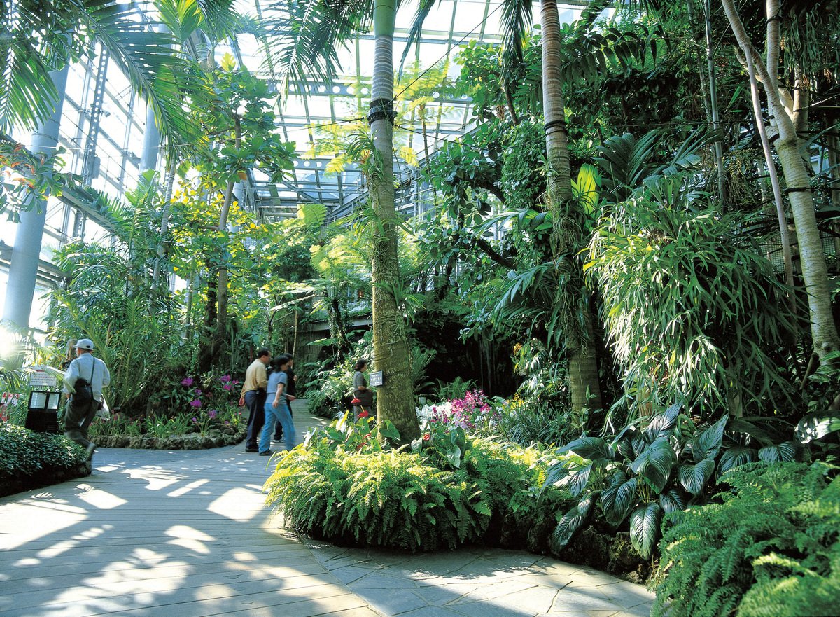 🌸 사쿠야 코노하나관 이미지 1